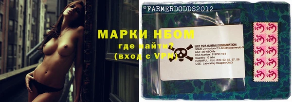 ешки Новодвинск