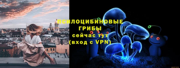 ешки Новодвинск