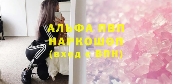 ешки Новодвинск