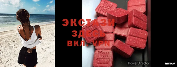 ешки Новодвинск