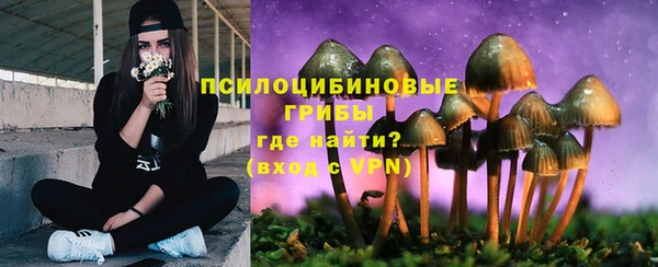 ешки Новодвинск