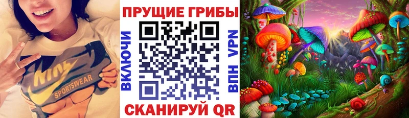 Купить закладки  Звенигово  Галлюциногенные грибы Psilocybine cubensis 